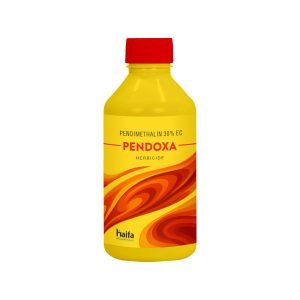 Pendoxa-Hb.jpg